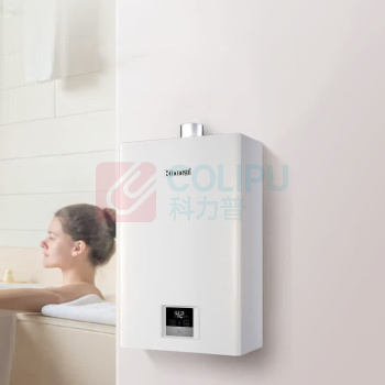 林内 Rinnai 燃气热水器恒温 JSQ31-GT11 16L 天然气