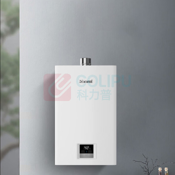 林内 Rinnai 燃气热水器恒温 JSQ31-GT11 16L 天然气