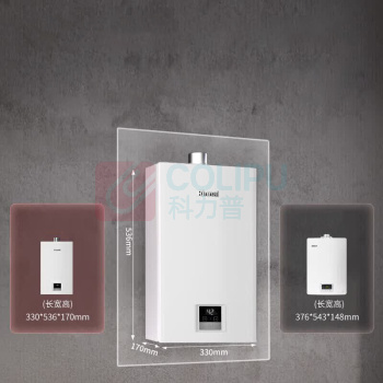 林内 Rinnai 燃气热水器恒温 JSQ31-GT11 16L 天然气
