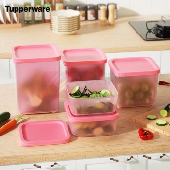 特百惠 冷藏方形套装5件套蔬菜水果保鲜冰箱储藏盒 10057132697210 有包装 (随机)