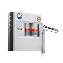 史密斯 A.O.Smith 橱下冷热即饮净水机 DR1600FWi 1.6L/分钟 家用厨下反渗透加热直饮一体机【标准安装】