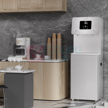 碧丽 开水器 W-2D-RO 40*45*145