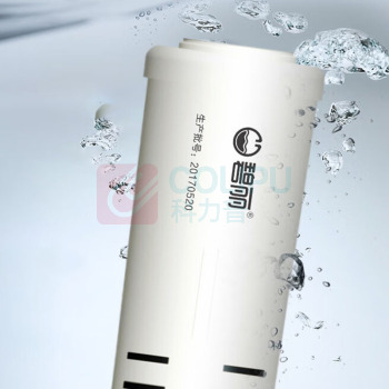 碧丽 椰壳复合活性炭滤芯 CP95 不含安装费