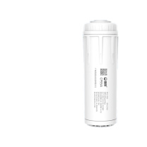 碧丽 颗粒活性炭滤芯 CP95A 80x236mm