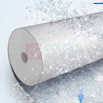 碧丽 商用净水器滤芯 TP-2L 组合套装 (PPC+CTO) 适配W系列型号碧丽开水器