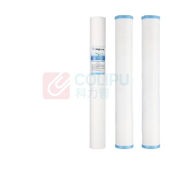 碧丽 商用净水器通用滤芯PP棉活性炭RO反渗透膜套装滤芯带芯片 TP20-3A