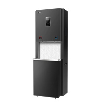 碧丽 龙头金钻饮水机 一开一纯 含基础安装 JO-K50L-RO 50L 计价单位:台
