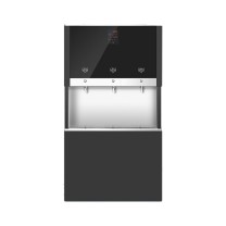 希力 商用净水器 大型净水设备 商用净水器2开1直饮 3w605(60L容量) 