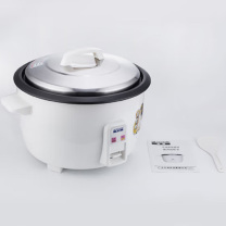 半球 Peskoe 电饭煲 10L 