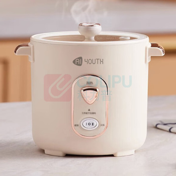 艾青春 AIYOUTH 迷你电饭锅 WT-12J 1.2L (米白)