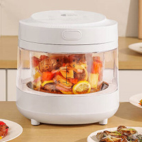 艾青春 AIYOUTH 可视多功能电饭煲 AI-FB558 纯白 3L