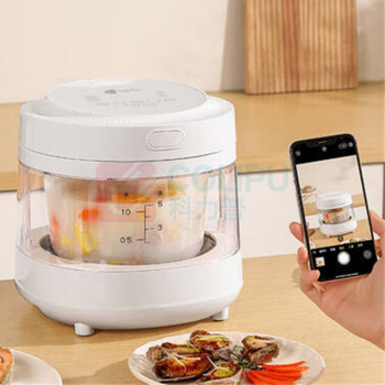 艾青春 AIYOUTH 可视多功能电饭煲 AI-FB558 纯白 3L