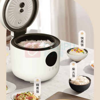 豹牌 多功能电饭煲 BP-WB108