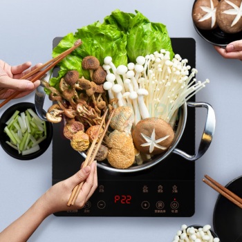 苏泊尔 SUPOR 电磁炉 C22-IJ59E