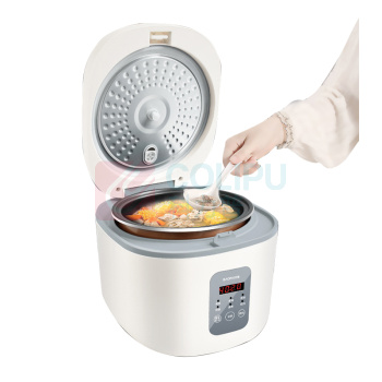 豹牌 多功能电饭煲 BP-WB166 5L