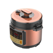 豹牌 BAOPAI 多功能电压力锅 BP-WD259