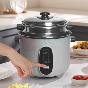 豹牌 BAOPAI 多功能电饭煲 BP-WB175 4L