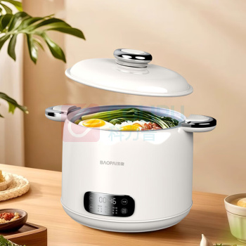 豹牌 BAOPAI 微压烹饪锅 BP-WB167 2.5L