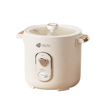 艾青春 AIYOUTH 迷你电饭锅 WT-12J 1.2L (米白色)