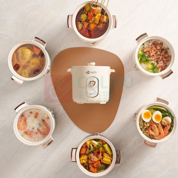 艾青春 AIYOUTH 迷你电饭锅 WT-12J 1.2L (米白色)