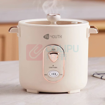 艾青春 AIYOUTH 迷你电饭锅 WT-12J 1.2L (米白色)