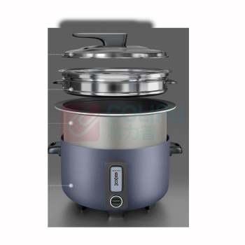 奥克斯(AUX) 电饭煲 VK-E13G2 1套/套 销售单位:套 (电饭煲\13L) (计量单位:个)