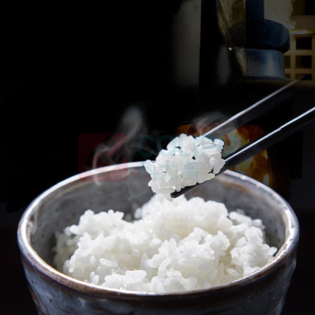 虎牌(TIGER) 电饭煲 JKT-D10C-KZ 1个/套 销售单位:套 (电饭煲\3L) (计量单位:个)