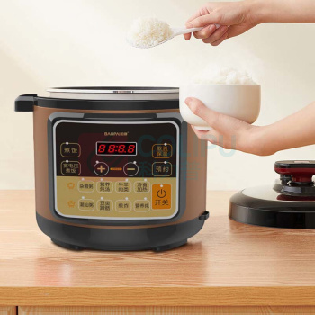 豹牌 电压力锅 BP-WD259 5L 