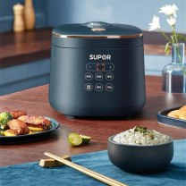 苏泊尔 SUPOR 电饭煲2L SF20FC45  多点