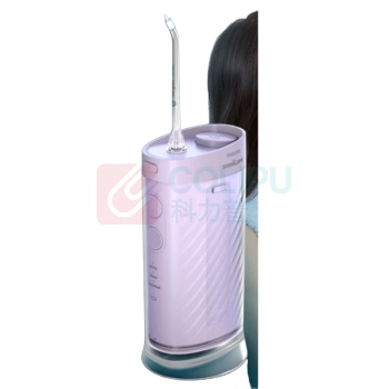 飞利浦 PHILIPS 冲牙器 2款喷嘴 HX3333/23 (紫)