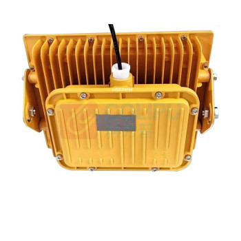 和齐顺 Hikesun 防爆灯 HQSW30 30W (黄色) IP30 Exde ib IIC T4 Gb