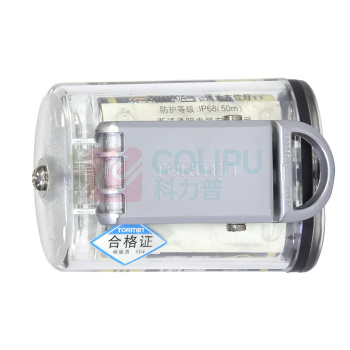 通明 TORMIN 强光防爆方位灯 BW4100B 1W IP68 ExiaⅡCT5Ga DC3V 6000K 500h (红色)