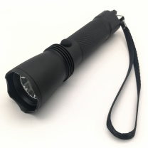虎光风行 强光电筒 FL-IW7622B 3W 360*20*160mm 