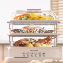 金正 NINTAUS 电蒸锅 JZF-DZG03