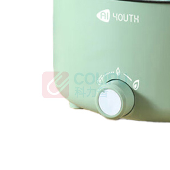艾青春 AIYOUTH 电煮锅 AI-HG306