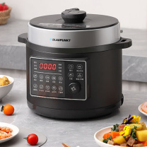 蓝宝 Blaupunkt 电压力锅家用大容量多功能电饭煲智能预约高压锅 BP-YL21F 5L