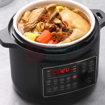 蓝宝 Blaupunkt 电压力锅家用大容量多功能电饭煲智能预约高压锅 BP-YL21F 5L