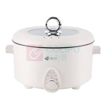 艾青春 AIYOUTH 电火锅 AI-HG501 5L