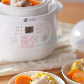 艾青春 AIYOUTH 电炖锅 10A 1L (白色)