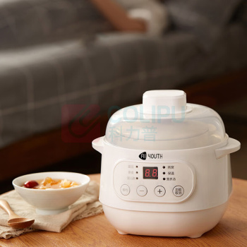 艾青春 AIYOUTH 电炖锅 10A 1L (白色)