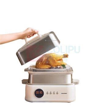 蓝宝 Blaupunkt 不锈钢电蒸锅多功能蒸炖锅 ZG03B 10L标配