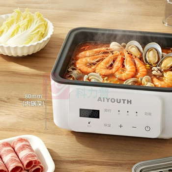 艾青春 AIYOUTH 电蒸锅 AI-Z53 12L
