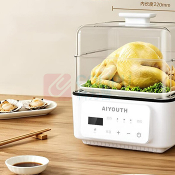 艾青春 AIYOUTH 电蒸锅 AI-Z53 12L