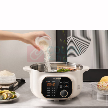 苏泊尔(SUPOR) 电炖锅 DZ25YC876 1个/个 销售单位:个 (电炖锅\2.5L) (计量单位:个)