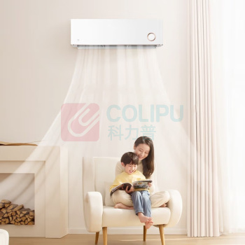 米家 出品 2匹 新一级能效 变频冷暖 智能互联 壁挂式卧室挂机 KFR-50GW/D1A1 鎏金版