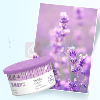 绿之源 GREEN SOURCE 空气清新剂(熏衣草) 70g