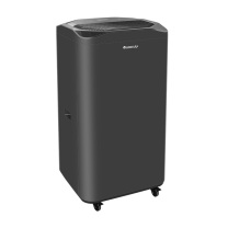 格力 Gree 除湿机 DH160FQA1A(WIFI) 165L/D
