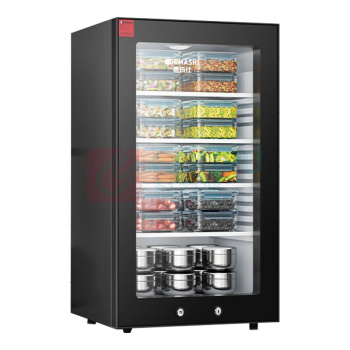 德玛仕 DEMASHI 商用展示食品留样柜 LG-90L-1C 双锁 90L