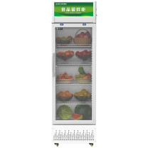 圣托 Shentop 商用食品留样柜 STLW-LY280