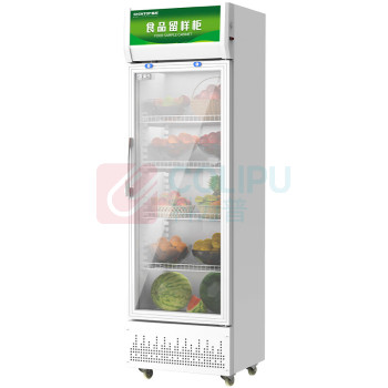 圣托 Shentop 商用食品留样柜 STLW-LY280
